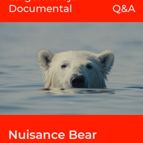 Póster promocional con fondo rojo y la imagen de un oso polar nadando en aguas tranquilas.