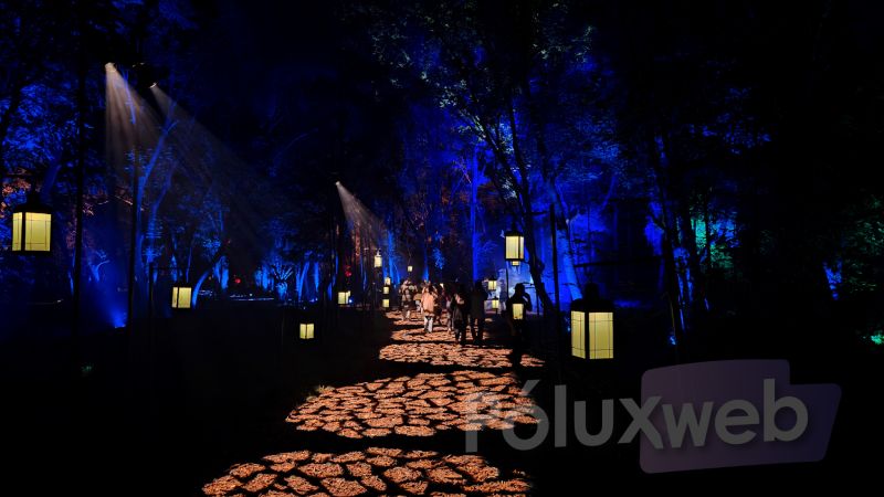Sendero nocturno en el Parque Naucalli iluminado con proyecciones en el suelo y linternas colgantes bajo luces azules entre los árboles.