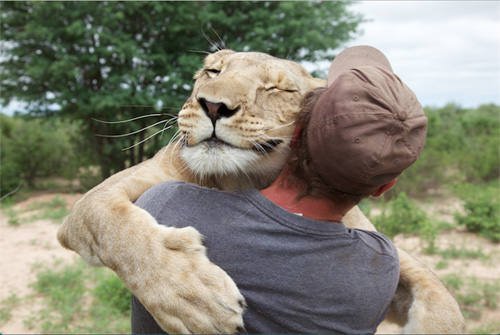 PoluxWeb - Exponen emotiva amistad entre el humano y el león