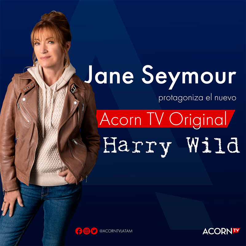 Reseña: “Harry Wild” 