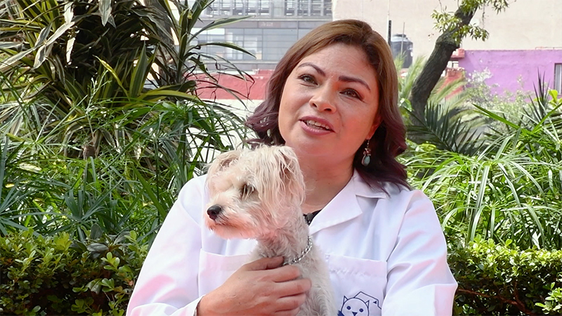 Lomitos y Michis enseñan el verdadero significado de la amistad