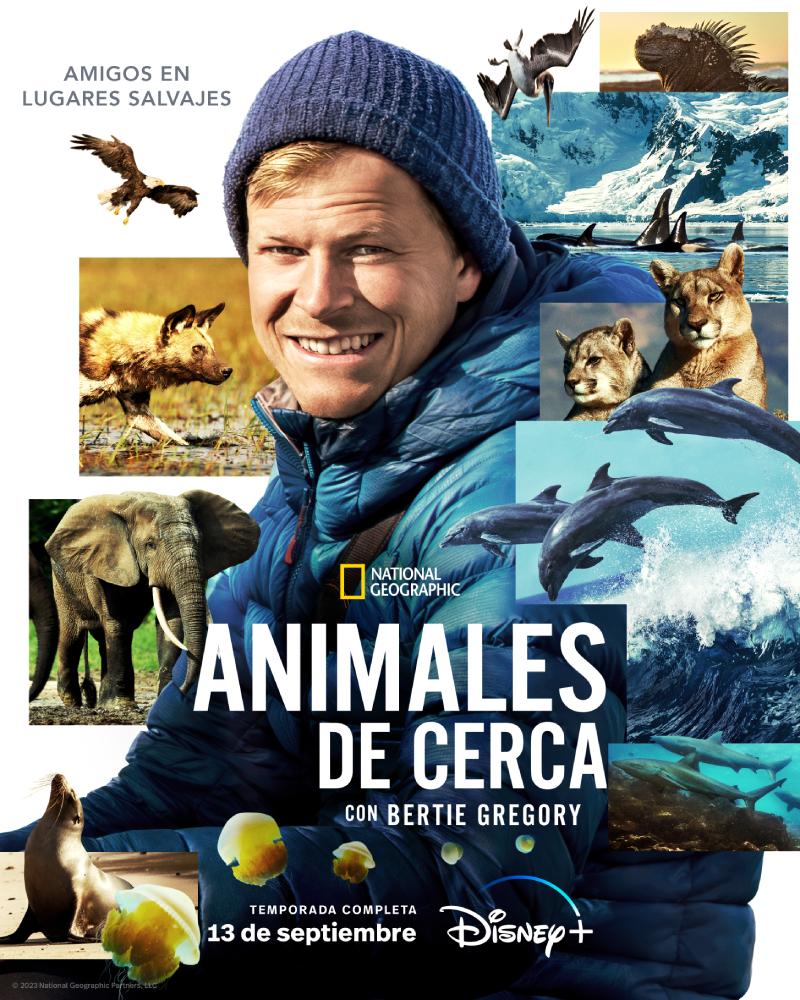 Reseña: “Animales de cerca con Bertie Gregory”