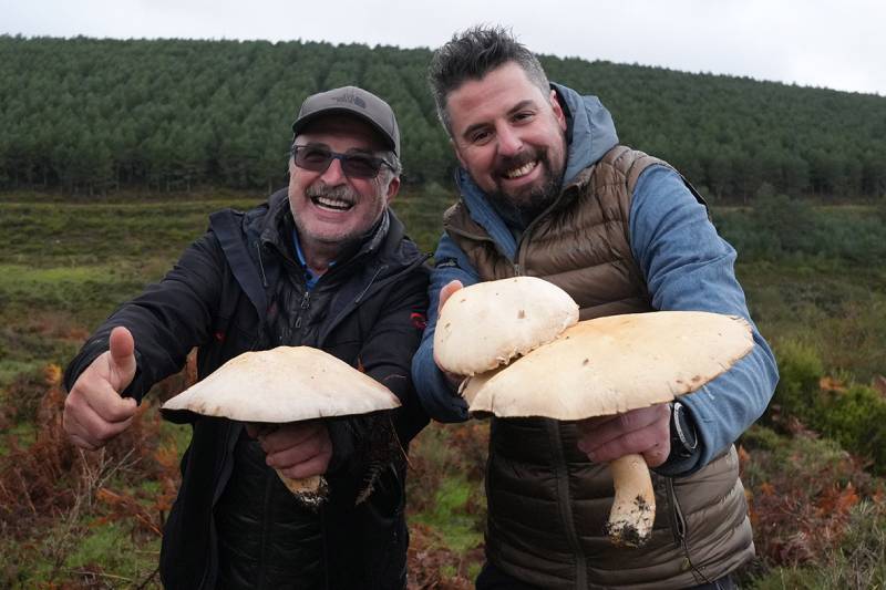 elGourmet enseña a cocinar con hongos en 
