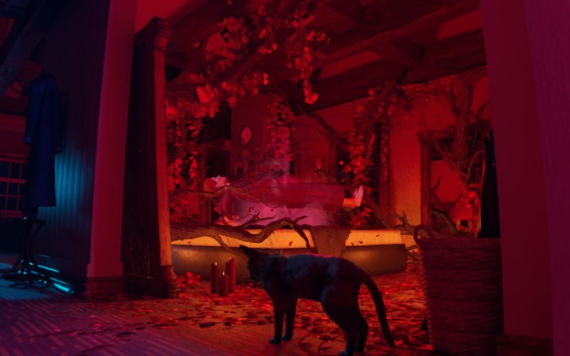 Secuencia mística y sobrenatural en 1666: Amsterdam Escena cinemática en un espacio interior envuelto en tonos rojos y azules sobrenaturales, mostrando a un gato en primer plano observando una figura suspendida en un altar adornado con ramas y flores.