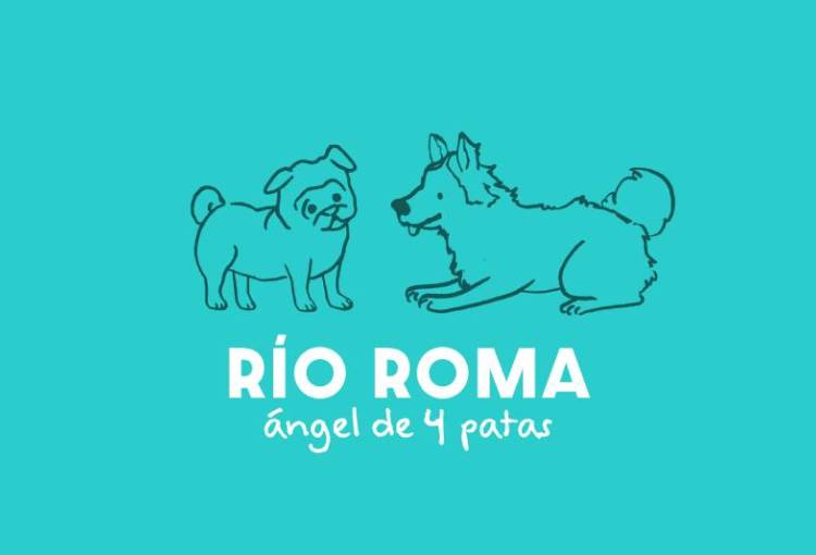 Río Roma derrocha amor por los lomitos en video de su nuevo sencillo 